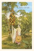 Vintage Journal Senorita with Papaya Tree, Southern Texas
