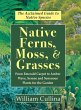 Native Ferns, Moss, and Grasses - Bild 1