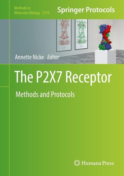 The P2X7 Receptor (eBook, PDF) The P2X7 Receptor (eBook, PDF)