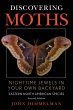 Discovering Moths - Bild 1