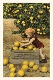 Vintage Journal Child with Crate of Grapefruit