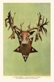 Vintage Journal Deer Trophy Head with 78 Points