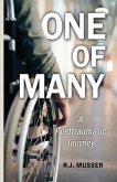 One of Many: A Posttraumatic Journey