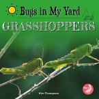 Grasshoppers