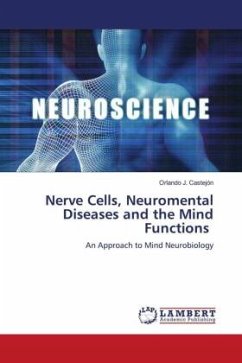 Nerve Cells, Neuromental Diseases and the Mind Functions