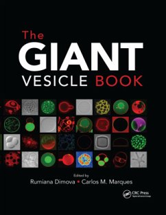 The Giant Vesicle Book