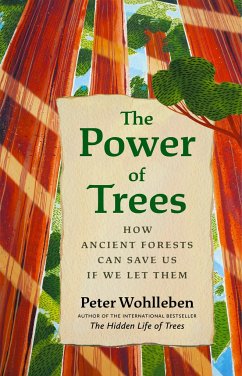 The Power of Trees - Wohlleben, Peter