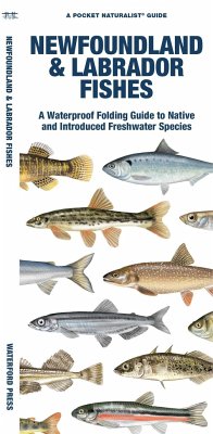Newfoundland & Labrador Fishes - Morris, Matthew; Waterford Press