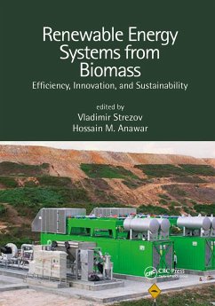 Renewable Energy Systems from Biomass