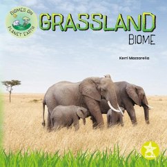 Grassland Biome - Mazzarella, Kerri