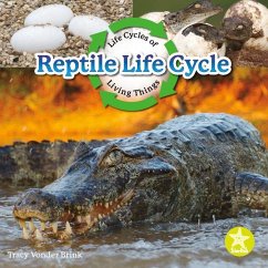 Reptile Life Cycle - Vonder Brink, Tracy