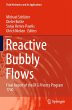 Reactive Bubbly Flows - Bild 1