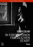 IN EINER KLEINEN FRIEDLICHEN STADT (eBook, ePUB)