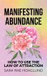 Manifesting Abundance (eBook, ePUB) - Bild 1
