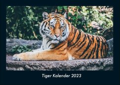 Tiger Kalender 2023 Fotokalender DIN A4 - Tobias Becker