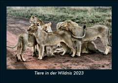 Tiere in der Wildnis 2023 Fotokalender DIN A5 - Tobias Becker