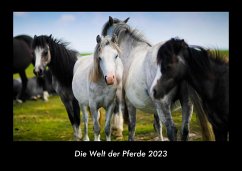 Die Welt der Pferde 2023 Fotokalender DIN A3 - Tobias Becker