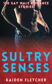 Sultry Senses - 150 Gay Male Romance Stories (eBook, ePUB)