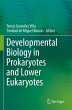 Developmental Biology in Prokaryotes... - Bild 1