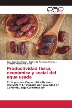 Productividad física, económica y social del agua usada - Ríos Flores, José Luis;Armendáriz Erives, Sigifredo;Hernández Ibarra, Gonzalo