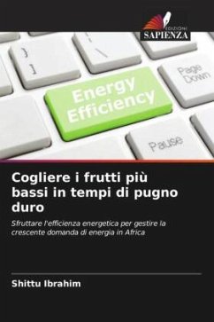 Cogliere i frutti più bassi in tempi di pugno duro - Ibrahim, Shittu