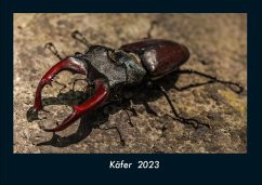 Käfer 2023 Fotokalender DIN A4 - Tobias Becker