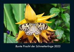 Bunte Pracht der Schmetterlinge 2023 Fotokalender DIN A4 - Tobias Becker