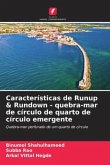 Características de Runup & Rundown - quebra-mar de círculo de quarto de círculo emergente