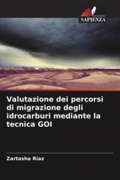 Valutazione dei percorsi di migrazione degli idrocarburi mediante la tecnica GOI - Riaz, Zartasha