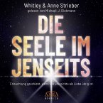 DIE SEELE IM JENSEITS. Erleuchtung geschieht, wenn von uns nichts als Liebe übrig ist (MP3-Download)