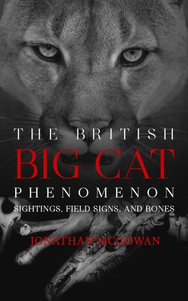 The British Big Cat Phenomenon (eBook, ePUB) The British Big Cat Phenomenon (eBook, ePUB)