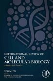 Adoptive Cell Transfer (eBook, ePUB)