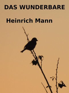 Cover Das Wunderbare (eBook, ePUB)