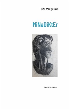 MiNaDiKtEr (eBook, ePUB)