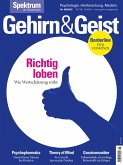 Gehirn&Geist 8/22 - Richtig loben (eBook, PDF)