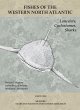 Lancelets, Cyclostomes, Sharks (eBook,... - Bild 1