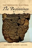 The Beginnings (eBook, ePUB)