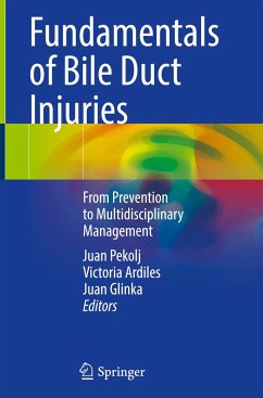 Fundamentals of Bile Duct Injuries