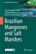 Brazilian Mangroves and Salt Marshes - Bild 1