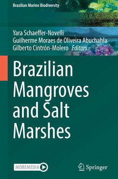 Brazilian Mangroves and Salt Marshes