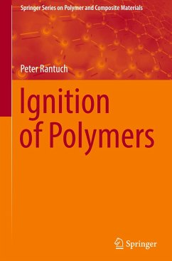 Ignition of Polymers - Rantuch, Peter