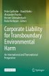 Corporate Liability for Transboundary... - Bild 1