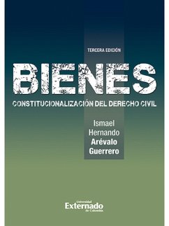 Cover Bienes Constitucionalización del Derecho Civil (eBook, ePUB)