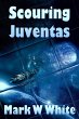 Scouring Juventas (eBook, ePUB) - Bild 1