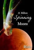 A Million Spinning Moons (eBook, ePUB)