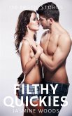 Filthy Quickies - Volume 11 (eBook, ePUB)