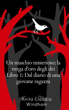 Un maschio misterioso; la verga d'oro degli dei Libro 1: Dal diario di una giovane ragazza (eBook, ePUB) - Anita Claudia, Windham