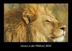 Löwen in der Wildnis 2023 Fotokalender DIN A3 - Tobias Becker