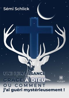 Une renaissance grâce à Dieu: Ou comment j'ai guéri mystérieusement ! - Sémi Schlick