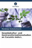 Gewebekultur- und Gentransformationsstudien an Cucumis melo.L